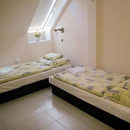 Pensiune Davodi Es Szabadidopark