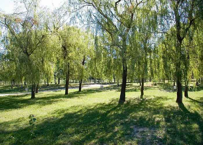 Davodi Es Szabadidopark